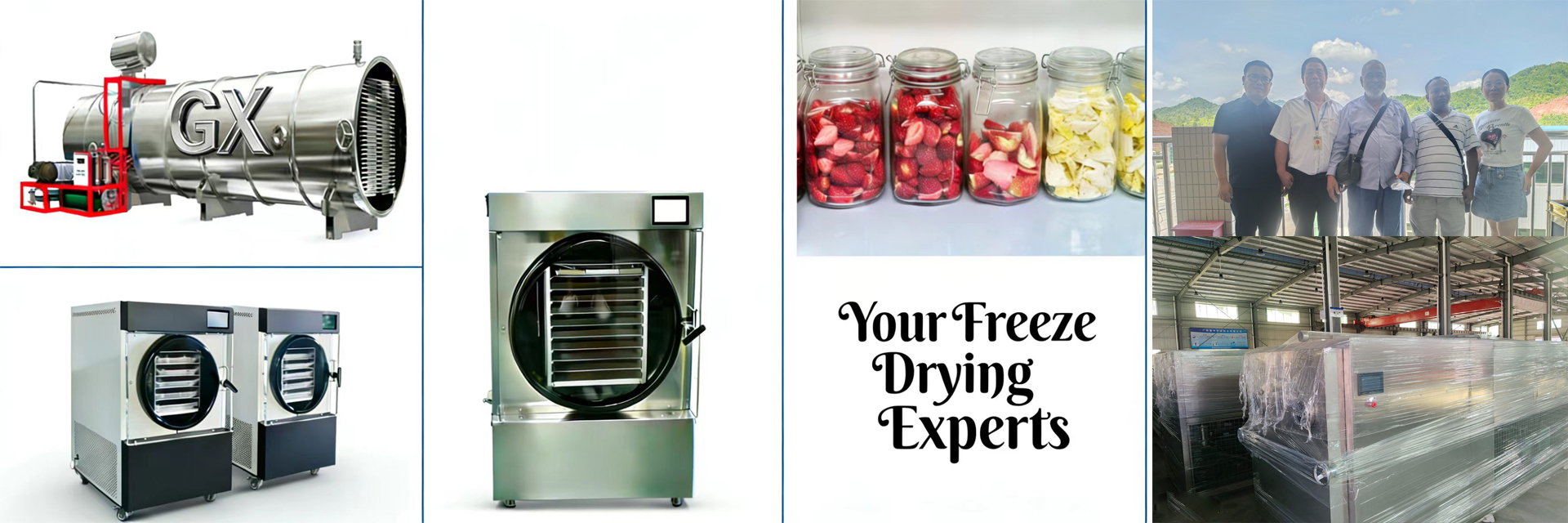 Qualität Hauptfrosttrockner usine