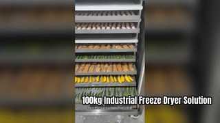 100 kg industrieller Gefriertrockner für die kommerzielle Lebensmittelproduktion