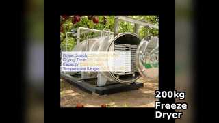 200 kg industrieller Gefriertrockner zu verkaufen