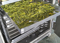 Gefriertrockner Gefriertrocknungsmaschine Dehydrierte Gefrierte Getrocknete Lebensmittel Dehydrator Gefriertrockner