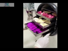 Heim Gefriertrockner Labor Gefriertrockner Vakuummaschine