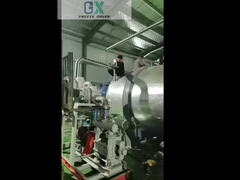 Haupttrockenere Maschine des frostes