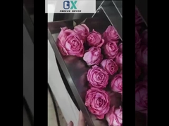 Gewerbliche Gefriertrockner für Lebensmittel