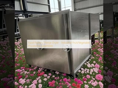 Gefriertrockner für Lebensmittelfabriken - Lyophiliser für die industrielle Obst- und Gemüseverarbeitung