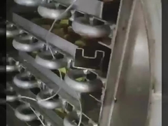 Laborefriertrockner mit 304 SS-Kammer und Bosch-Vakuum - Präzisions-Lyofiler