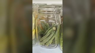 Gefriertrockner für zu Hause, 25 Jahre Frische