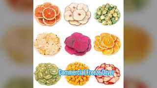 Industrieller Gefriertrockner 100 kg im kommerziellen Maßstab