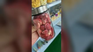 Gefriertrockner für zu Hause, um Lebensmittel schnell zu konservieren