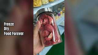 Gefriertrockner für zu Hause, um Lebensmittel frisch zu halten