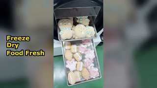 Gefriertrockner für zu Hause, Konservennahrung