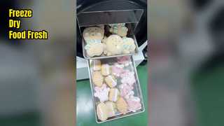 Gefriertrockner für zu Hause bewahren die Frische von Lebensmitteln