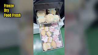 Haustrockner zur Lebensmittelkonservierung