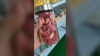 Gefriertrockner für zu Hause konserviert Lebensmittel