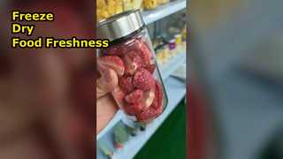 Gefriertrockner für zu Hause, Lebensmittel konservieren, Nährstoffe maximieren