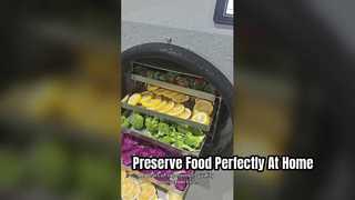 Elite Home Freeze Dryer Preserve Food Like A Pro