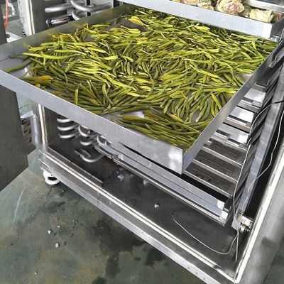 Nahrungsmittelindustrie Gefriertrockner 200 kg/Charge PLC Steuerung Luftkühlung