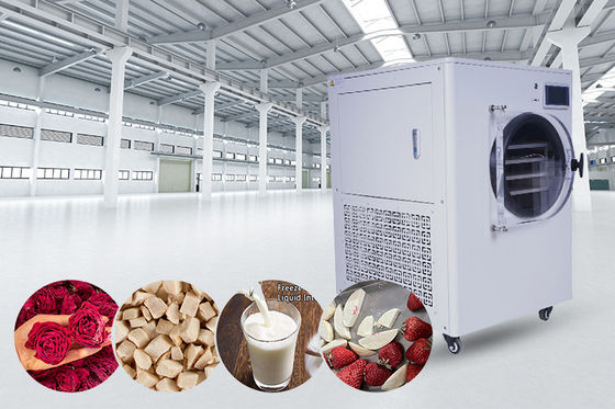 LCD-Display -Kältesystem Haushalts-Gefriertrockner für Zuhause und Lebensmittelkonservierung