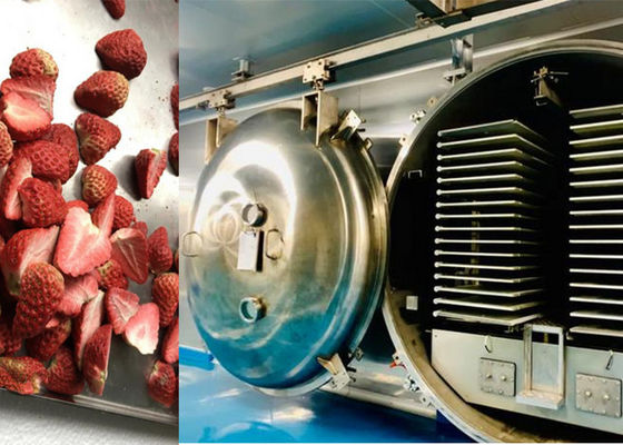1000 kg Vakuum-Froot-Trocknungsmaschine mit PLC-Fernbedienung