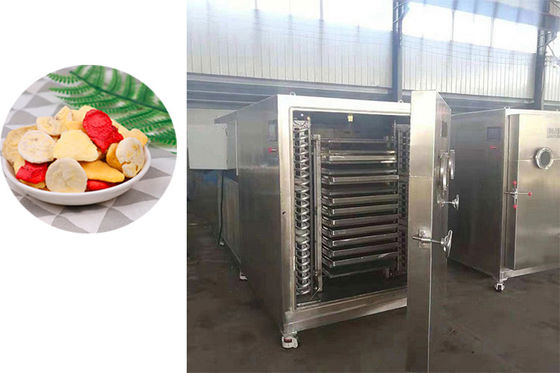 304 SUS Industrielle Gefriertrockner mit Bitzer Kühlsystem