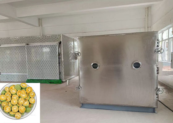 100 kg/Liste Lyophilizer Gefriertrocknungsmaschine mit Bitzer-Einheit