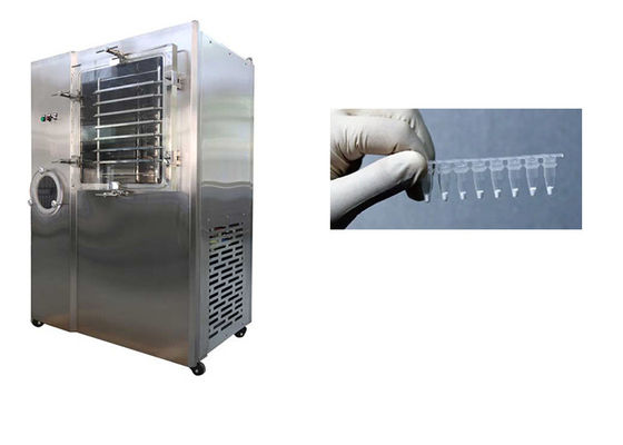Vakuum Stayfresh Gefriertrockner 6kg/Batch Kapazität automatisch