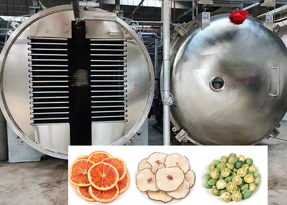 200 kg 100 kg Kapazität Lebensmittel Industrie Lebensmittel Gefriertrockner