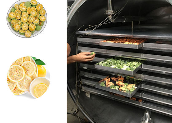 Früchte Gemüse Industrielle Gefriertrocknungsmaschine 100 kg/Charge