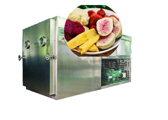 100 kg 200 kg PLC-gesteuerter Lyophilisator