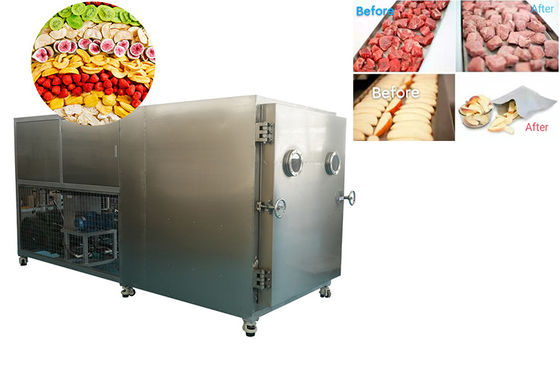 100 kg Vielseitiges Werkzeug Gefriertrockner Gemüse Gefriertrockner