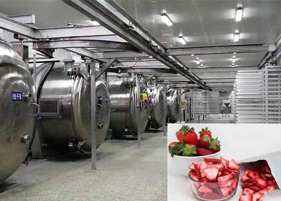 100 kg Lebensmittel Vakuum Gefriertrockner Industrie Gefriertrocknungsgeräte