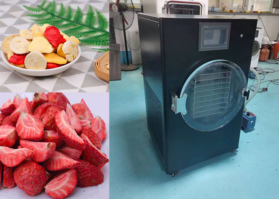 4 kg 6 kg 10 kg Kompaktes, PLC-gesteuertes, kleines Gefriertrocknungsgerät