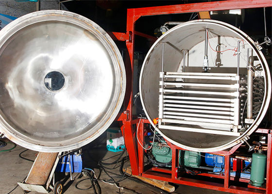 500 KG Fernsteuerungs Vakuum-Frosttrockner im industriellen Maßstab