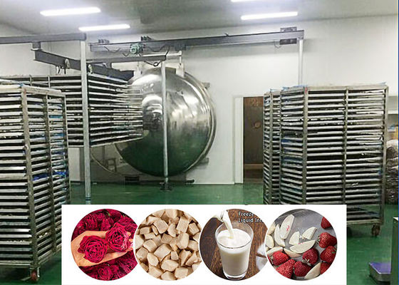 Vakuum-Food-Industrielle Gefriertrocknungsmaschine 200 kg/Charge