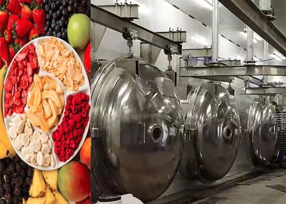 Industrielle Lebensmittel Vakuum Gefriertrocknungsmaschine 304 Edelstahl