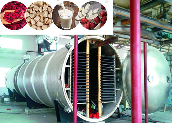 400 kg/Liste Vakuum-Industrie-Lebensmittel-Trockner