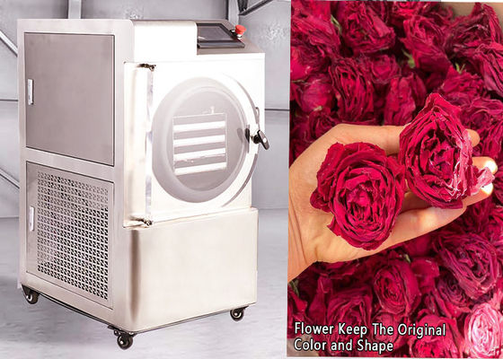 6 - 8 kg PLC-Steuerung Haushaltsgefriertrockner -50 °C bis 50 °C Temperatur für Zuhause