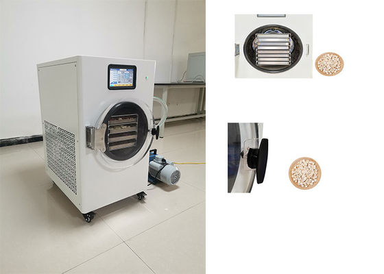 Revolutionäre Gefriertrocknungsverfahren mit Hausgefriertrockner 220V 1PH