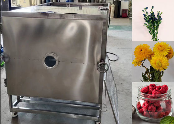 100 kg 200 kg Nahrungsmittel Vakuum Gefriertrockner Industrie-Trocknungsgeräte