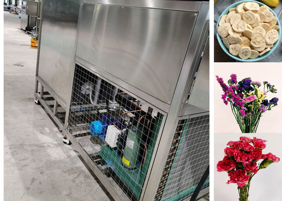 200 kg/Charge Kapazität Nahrungsmittel Vakuum-Froot-Trocknungsmaschine Ausrüstung
