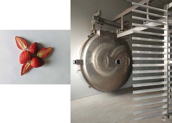 Präzise 1000 kg Industrielle Gefriertrockner Superior Trocknungslösung für Industrieprodukte