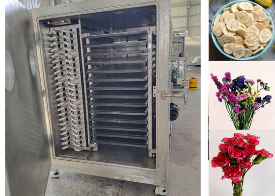 18-22 Stunden/Bundenauffriertrocknung Automatisches Gemüsefrosttrockner professionelle Qualität