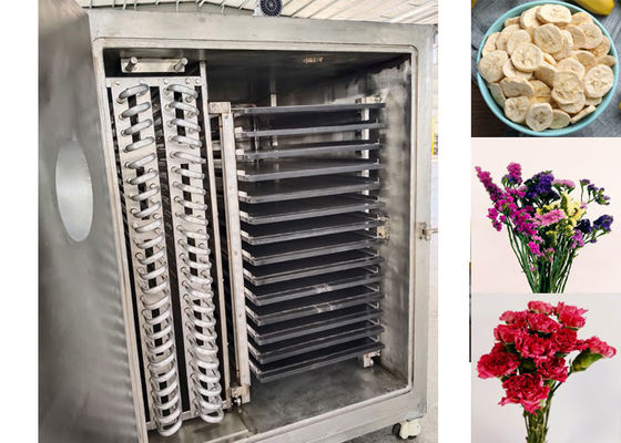 Industrielle Vakuum-Froot-Trocknungsmaschine für Maxi-Nährstoffrückhaltung