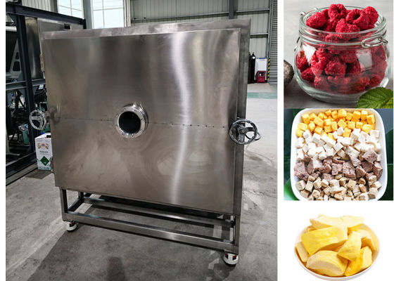 100 kg/Charge Gefriermaschine für getrocknete Früchte Lyophilisierungsanlage