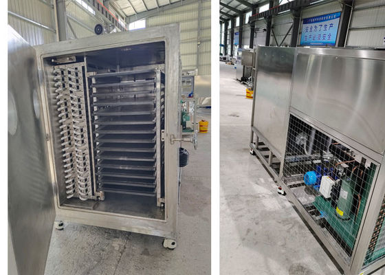 50kg 100Kg 200Kg Kapazität Lyophilisator Gefriertrockner Vakuummaschine