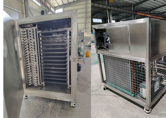 Industrielle Lyophilisator Gefriertrockner Maschine Bitzer Kühlsystem