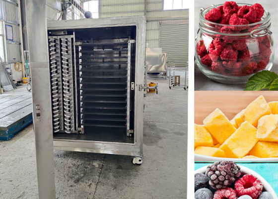 Kompakte Industrie-Vakuum-Froot-Trocknungsmaschine