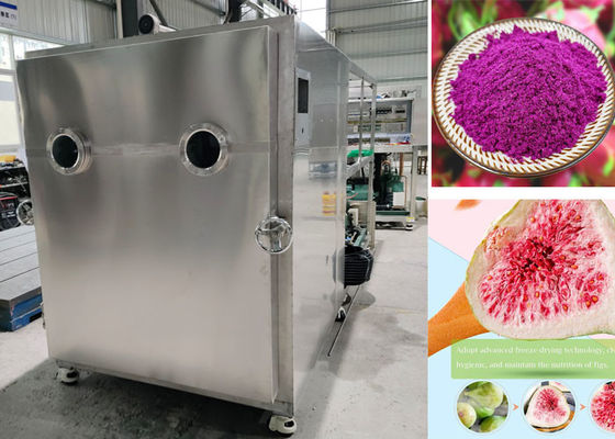 Elektrische Heizung Luftgekühlt Stayfresh Gefriertrockner Maschine