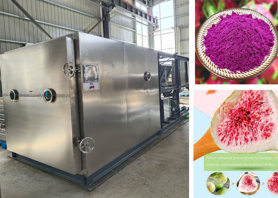 100 kg PLC-gesteuerte Stayfresh-Trocknungsgerät für schnelles Trocknen