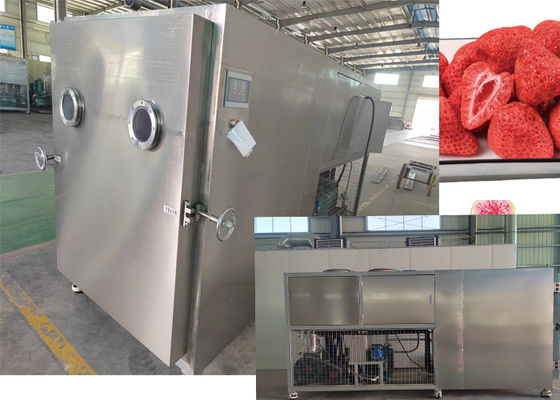 Industrielle Gefriertrocknungsmaschine Vakuum-Lyofiler mit Industriepumpe