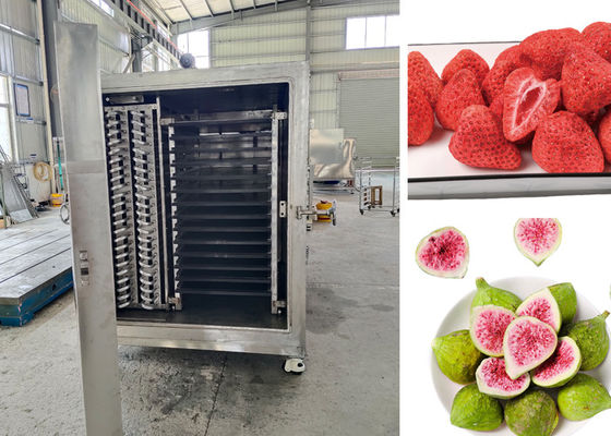 Fernsteuerung mit PLC-Steuerung Nahrungsmittel-Vakuum-Frosttrockner für Trocknungsverfahren